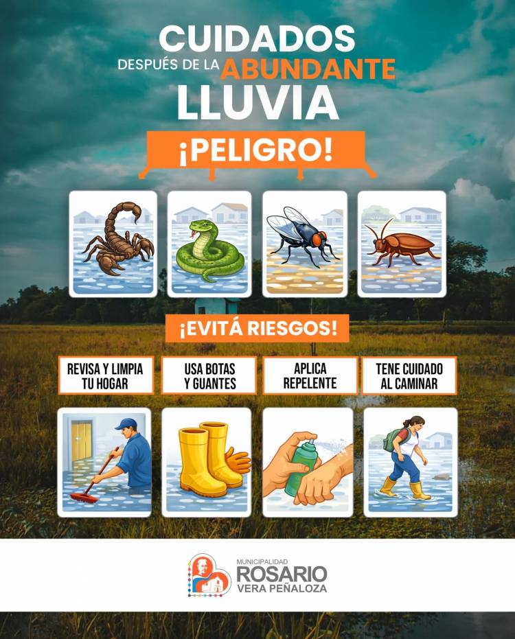 Tras el temporal, Salud emitió recomendaciones para prevenir riesgos en el hogar