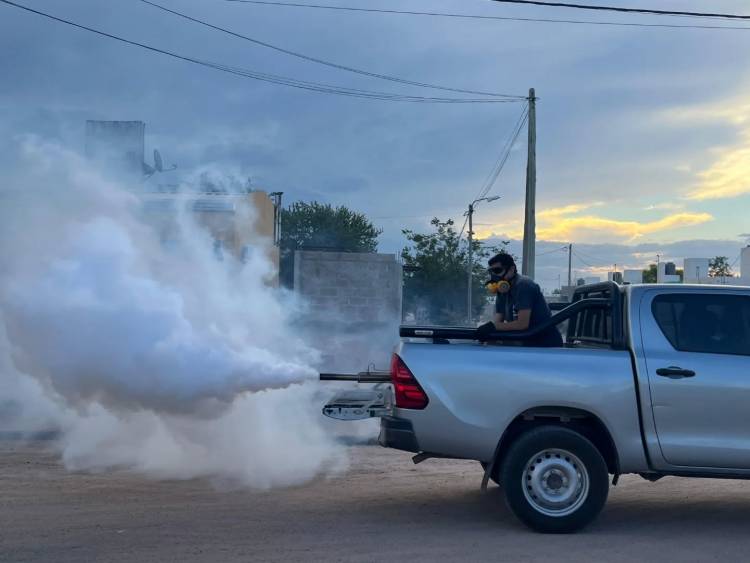 Acciones de control de mosquitos en sectores puntuales de la ciudad de Chepes