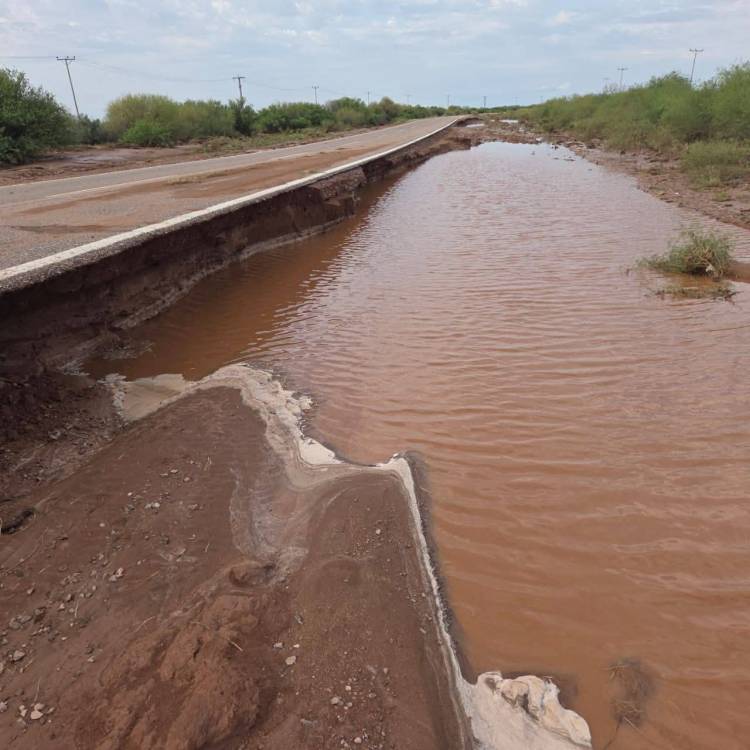 Vialidad advierte estado de peligro en Ruta 141 en Chepes