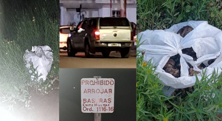 Indignación: Comerciante local es captado arrojando basura en el predio del ferrocarril