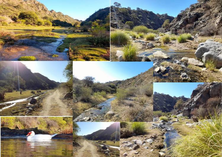 Donde el agua escribe historias: El Camino de la Quebrada de Vallecito