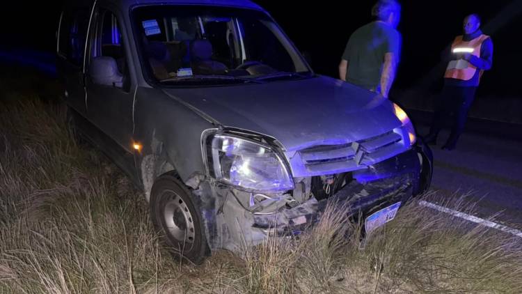 Camioneta chocó contra un jabalí y provocó importantes daños en el rodado
