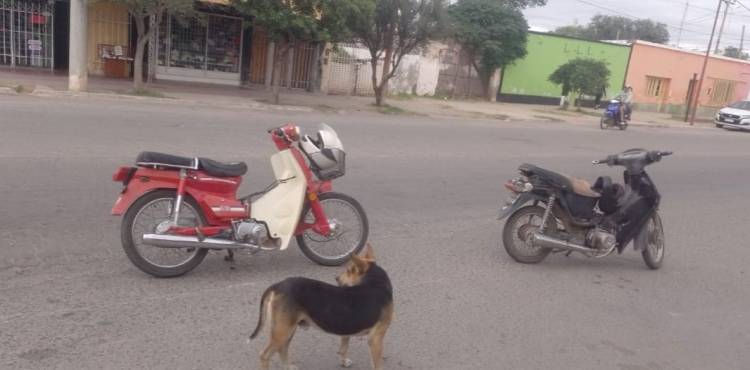 Choque al remolcar una moto en Chepes: una mujer herida