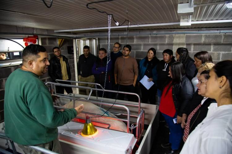 Chepes: Impulso productivo en Cerdo de los Llanos