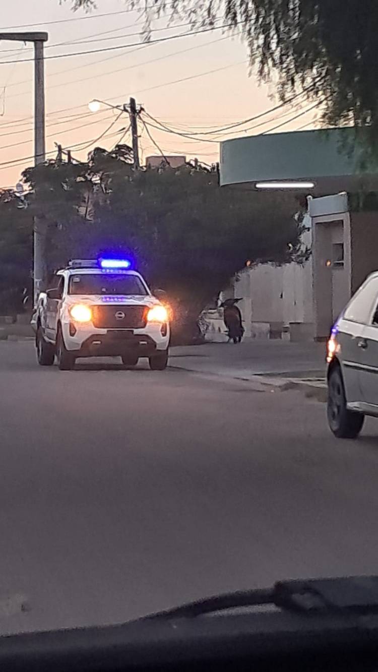 Varios hechos policiales y de tránsito durante el fin de semana en Chepes