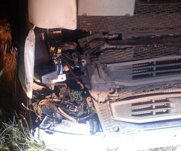 Choque en Ruta 38 por un animal suelto: un camión y una combi con pasajeros resultaron dañados