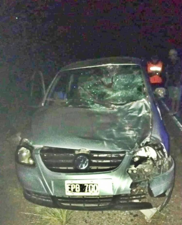 Automóvil chocó contra un burro en cercanías a Chepes: en el rodado viajaban 5 personas