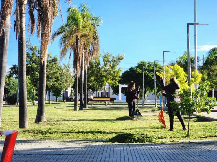 Mantenimiento y cuidado de nuestros espacios verdes