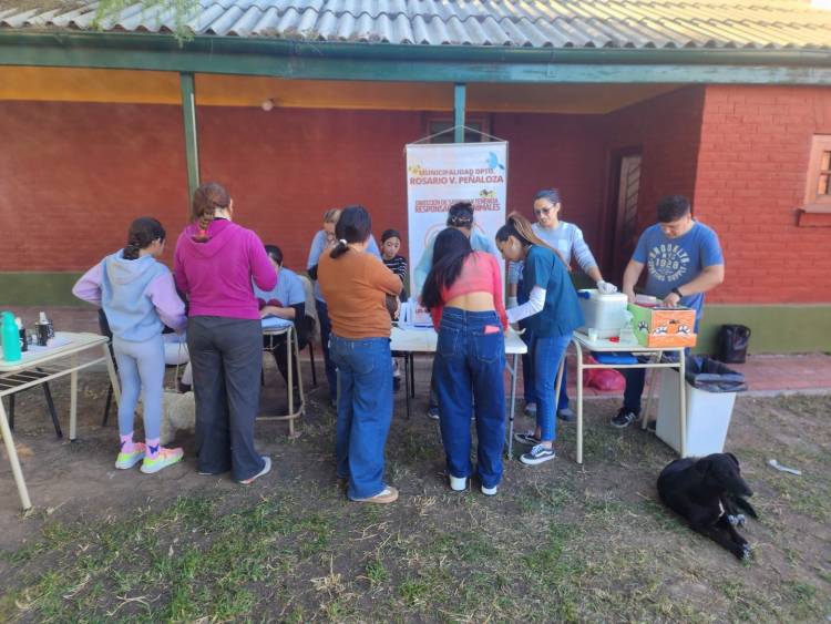 Jornada de vacunación y desparasitación por el día del animal