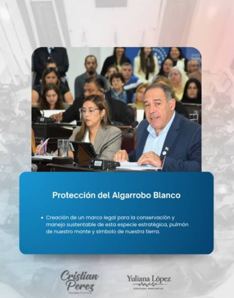 Cristian Pérez presentó proyectos de ley vinculados a salud, ambiente y cultura