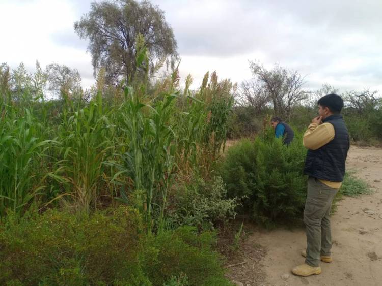 Más producción, más infraestructura y más acompañamiento para el sector rural