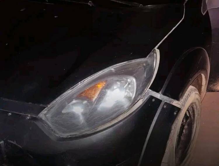 Impactante choque en Ruta 30: un automovilista embistió un ternero y salvó su vida de milagro
