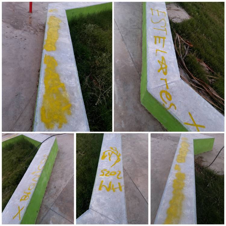 Chepes: Preocupación por actos de vandalismo en el Bulevar Monseñor Angelelli