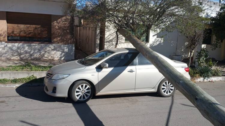 Olta: un poste cayó sobre un auto por el fuerte viento y ya contabilizan entre 10 y 15 estructuras derribadas