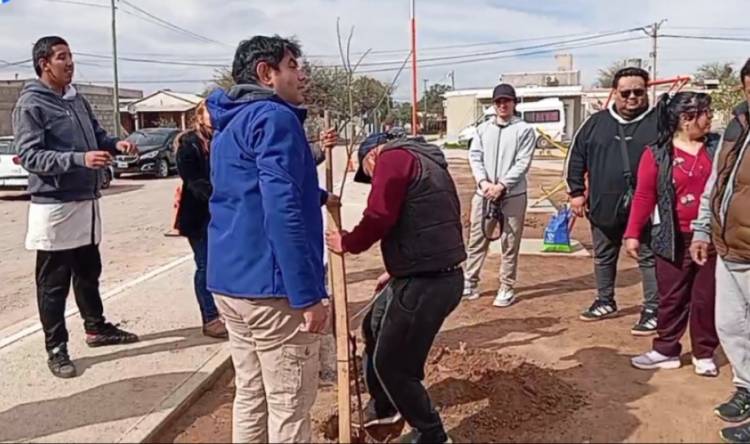 Día del Árbol: alumnos de la Escuela Especial N° 5 impulsan una jornada de forestación junto al municipio