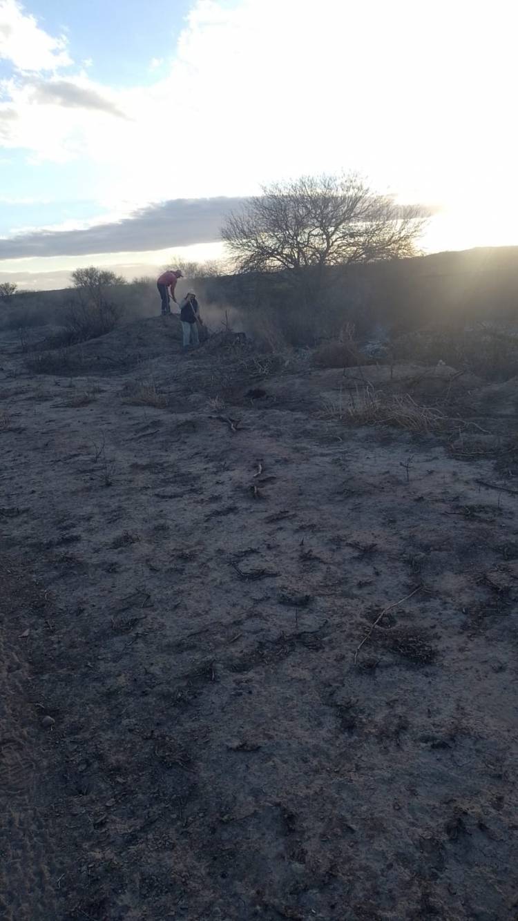 Bomberos, Policía y vecinos lograron contener un incendio forestal en la zona de Chelco