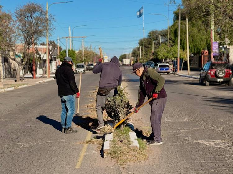 El municipio avanza con un plan de forestación y embellecimiento de los espacios públicos
