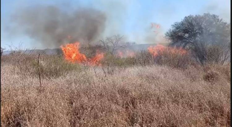 Incendio forestal en Ulapes: el fuego fue sofocado tras avanzar rápidamente por los fuertes vientos