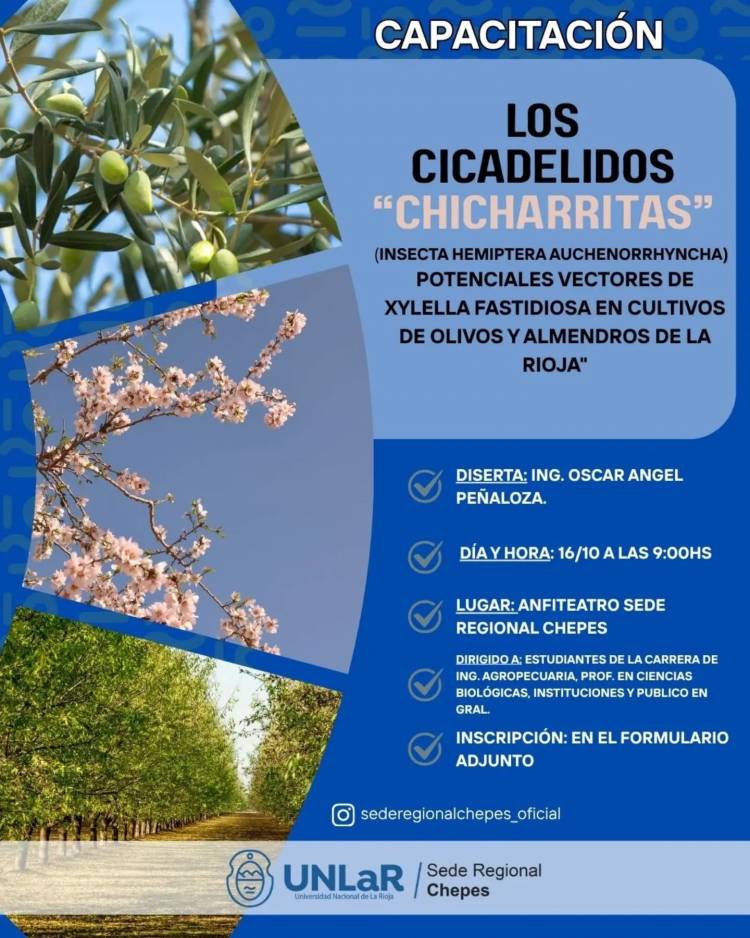 Chepes será sede de una capacitación sobre chicharritas y su impacto en cultivos de olivos y almendros